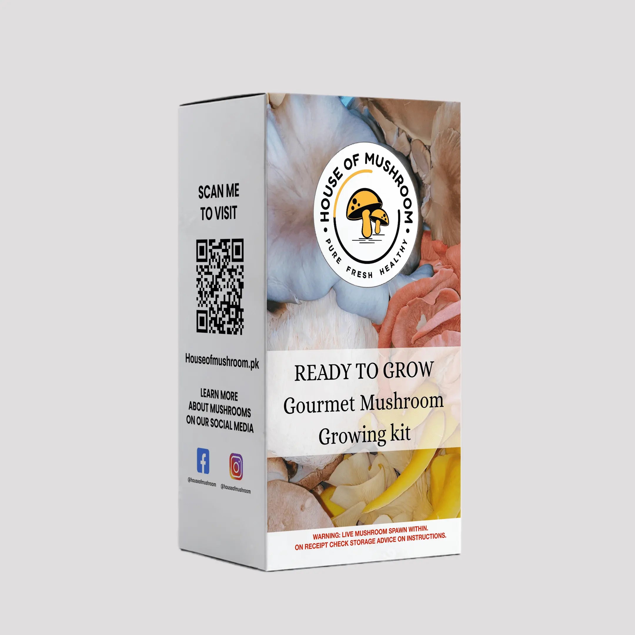 White Oyster Mushroom Grow Kit 1.5kg