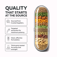 Gut Health Capsules – Natural Digestive & Gut Support