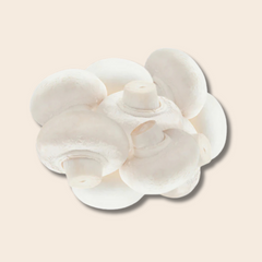 White Button Mushroom Grain Spawn 1kg for Sale (599)