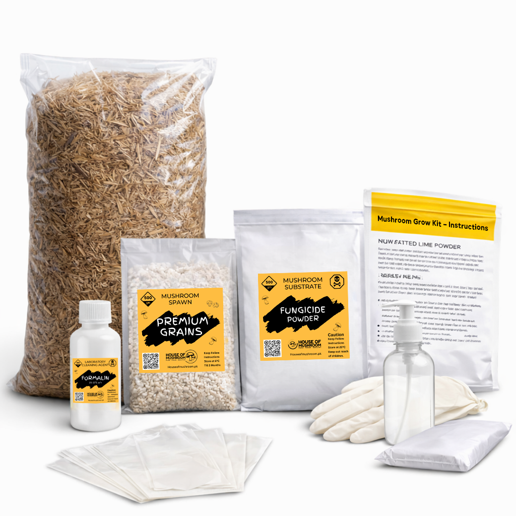 Mushroom Growing Starter Kit – Complete Home Mushroom Cultivation Kit