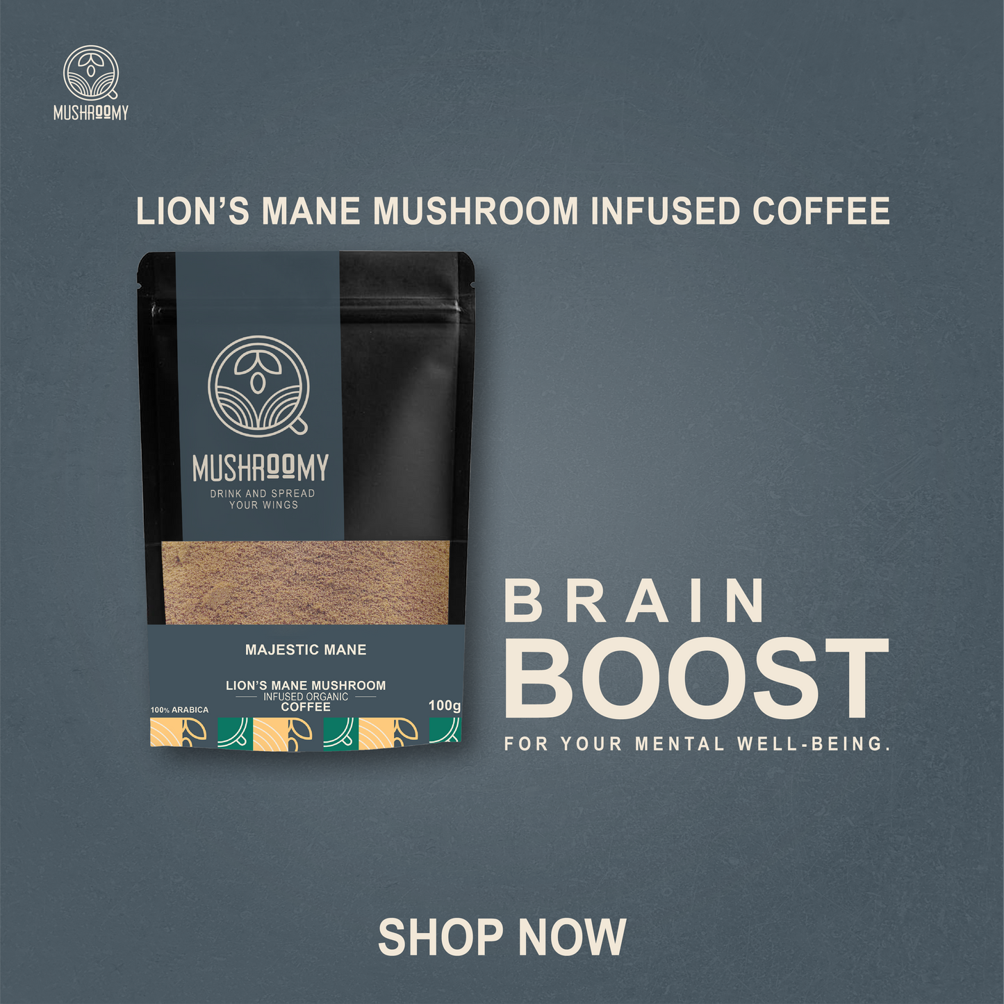 MAJESTIC MANE - Lion's Mane Mushroom Infused Organic Coffee