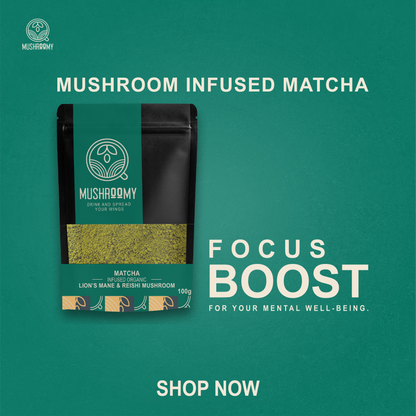 MATCHA - Lion's Mane & Reishi Mushroom Infused Organic Matcha Mix - 100g