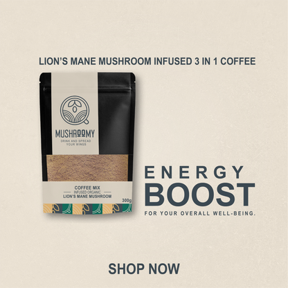 COFFEE MIX - Lion's Mane Mushroom Infused 3 In 1 Organic Coffee