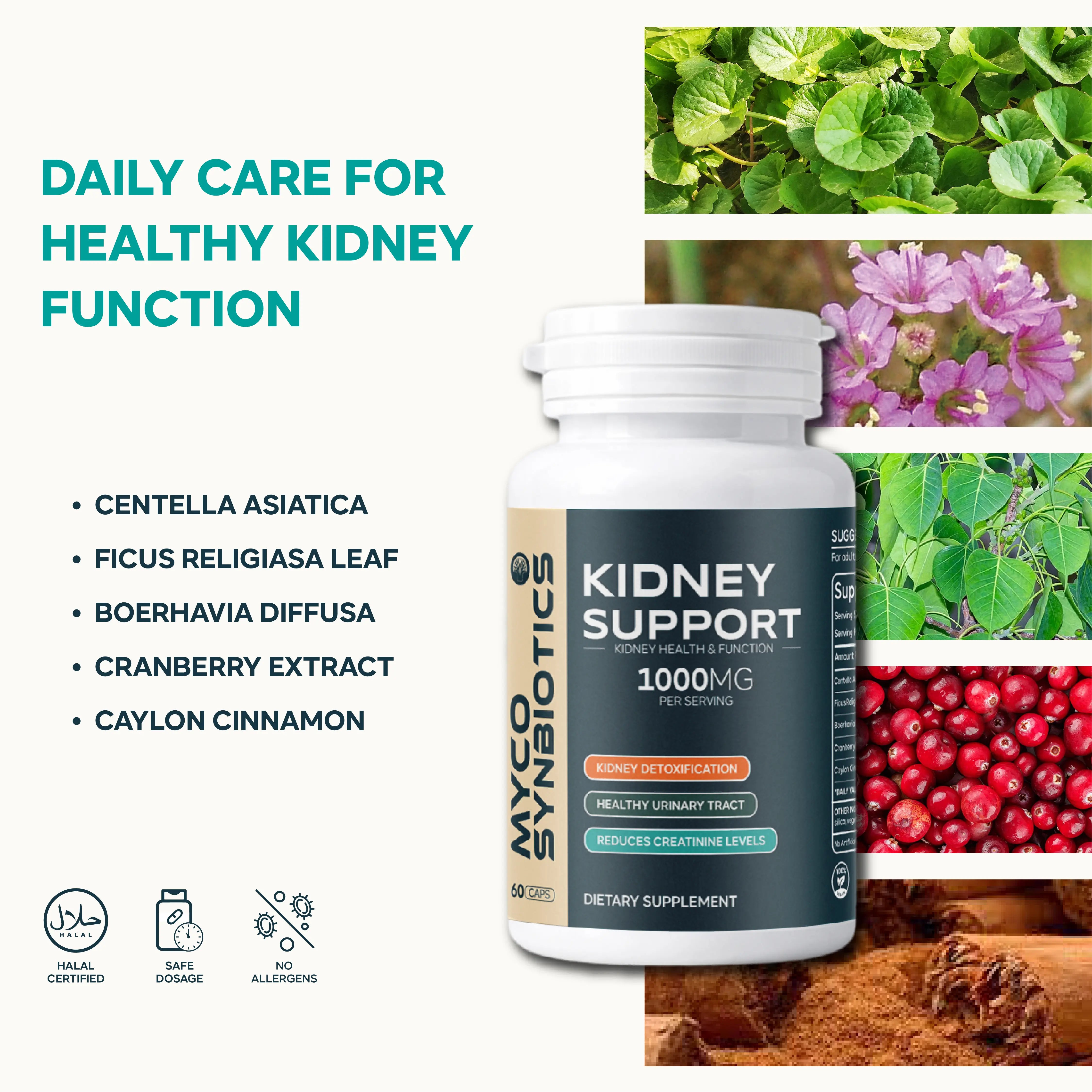 Kidney Support Capsules with Centella Asiatica & Cranberry | Natural Kidney Health