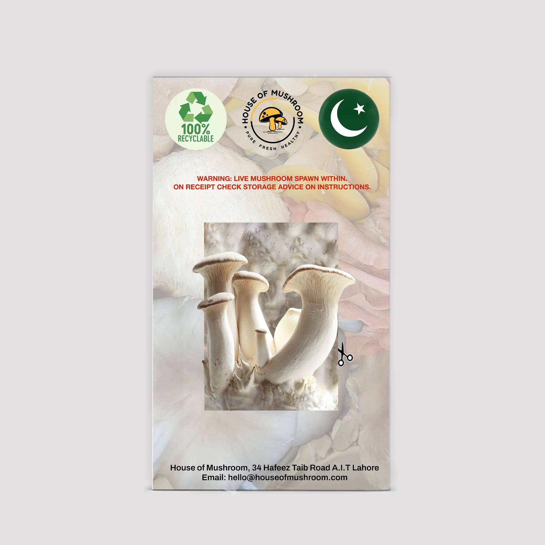 King Oyster Mushroom Grow Kit 1.5kg