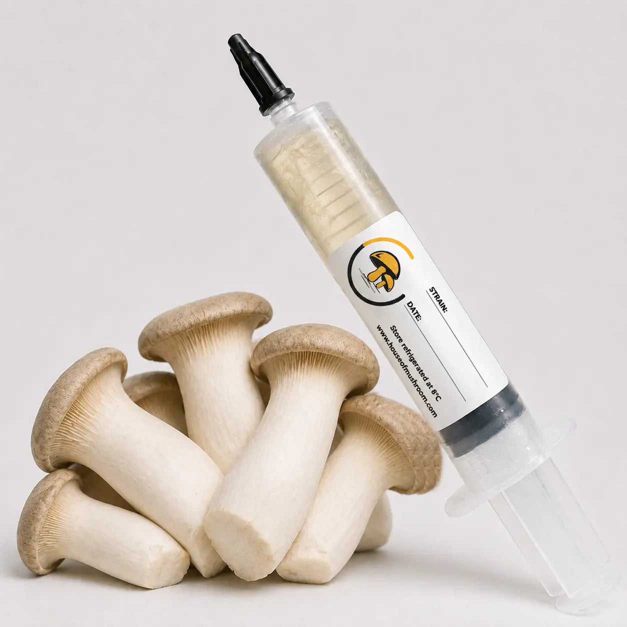 King Oyster Mushroom Liquid Culture – 10cc Syringe | Pleurotus Eryngii Strain (220)