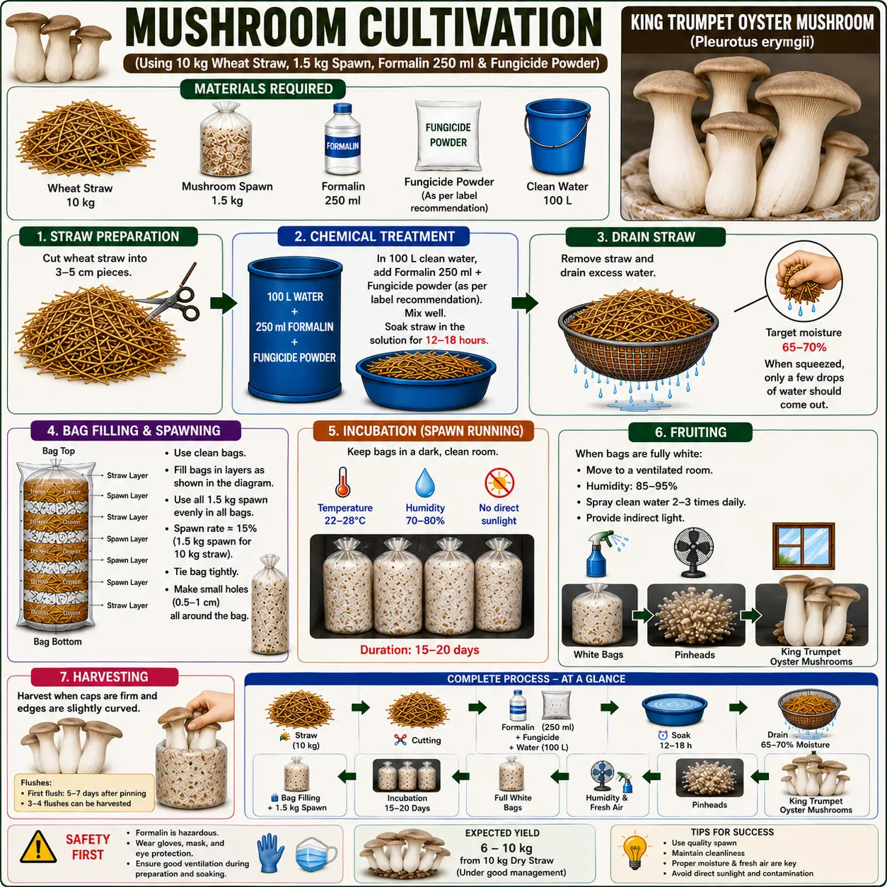 King Trumpet Oyster Mushroom Grain Spawn 1.5kg (220)
