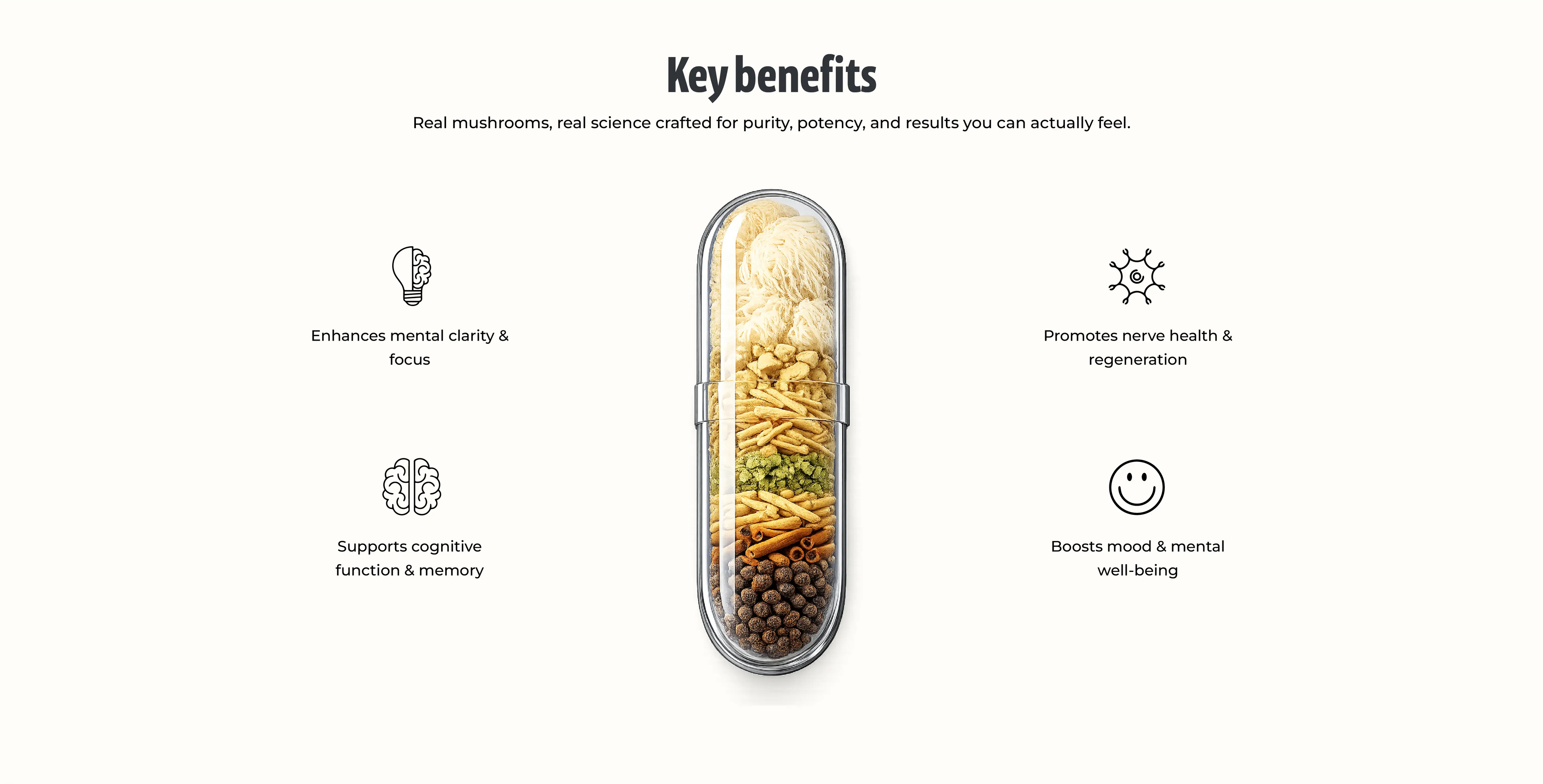 Natural Lion's Mane Mushroom Supplement Supporting Memory, Focus and Mental Clarity