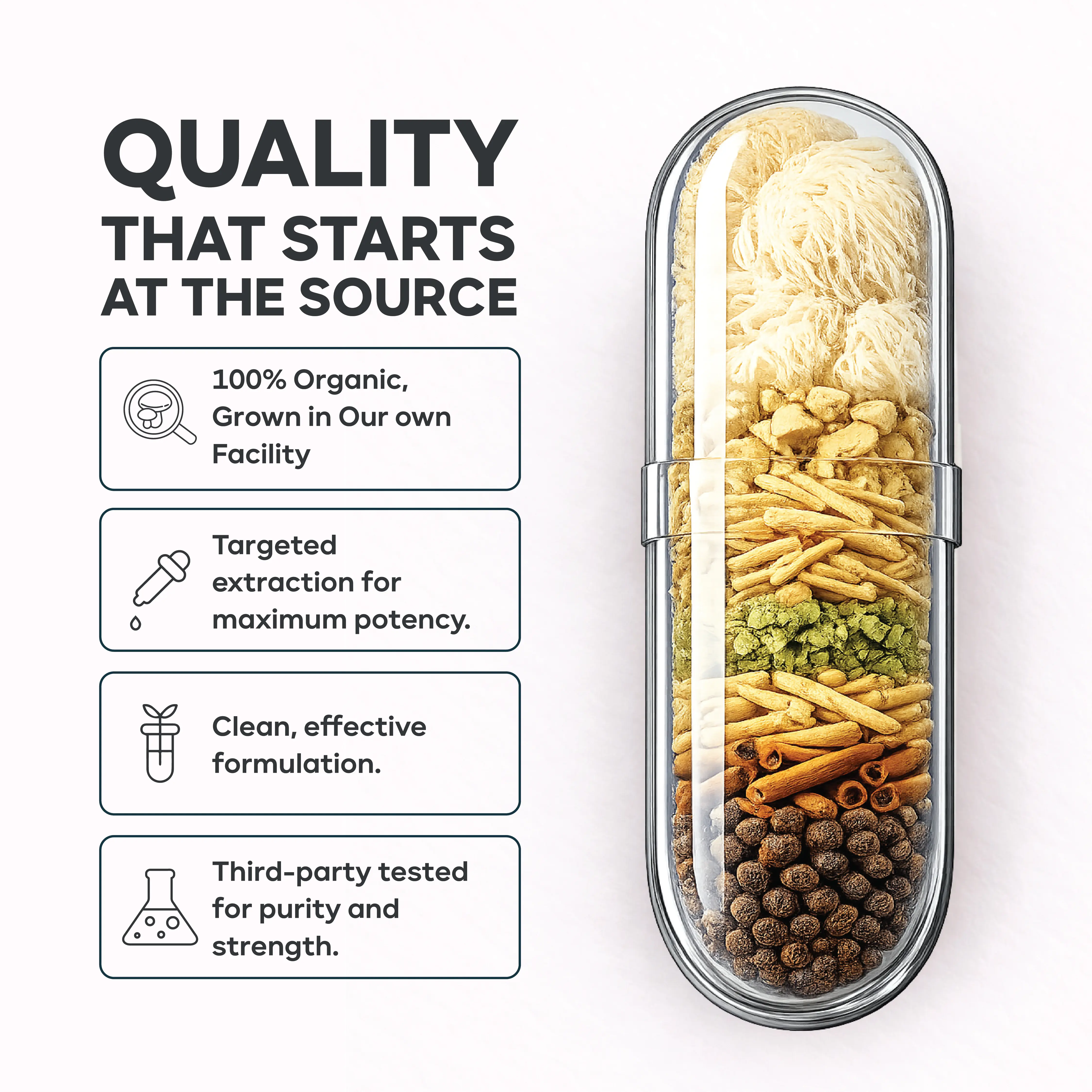 Natural Lion's Mane Mushroom Supplement Supporting Memory, Focus and Mental Clarity