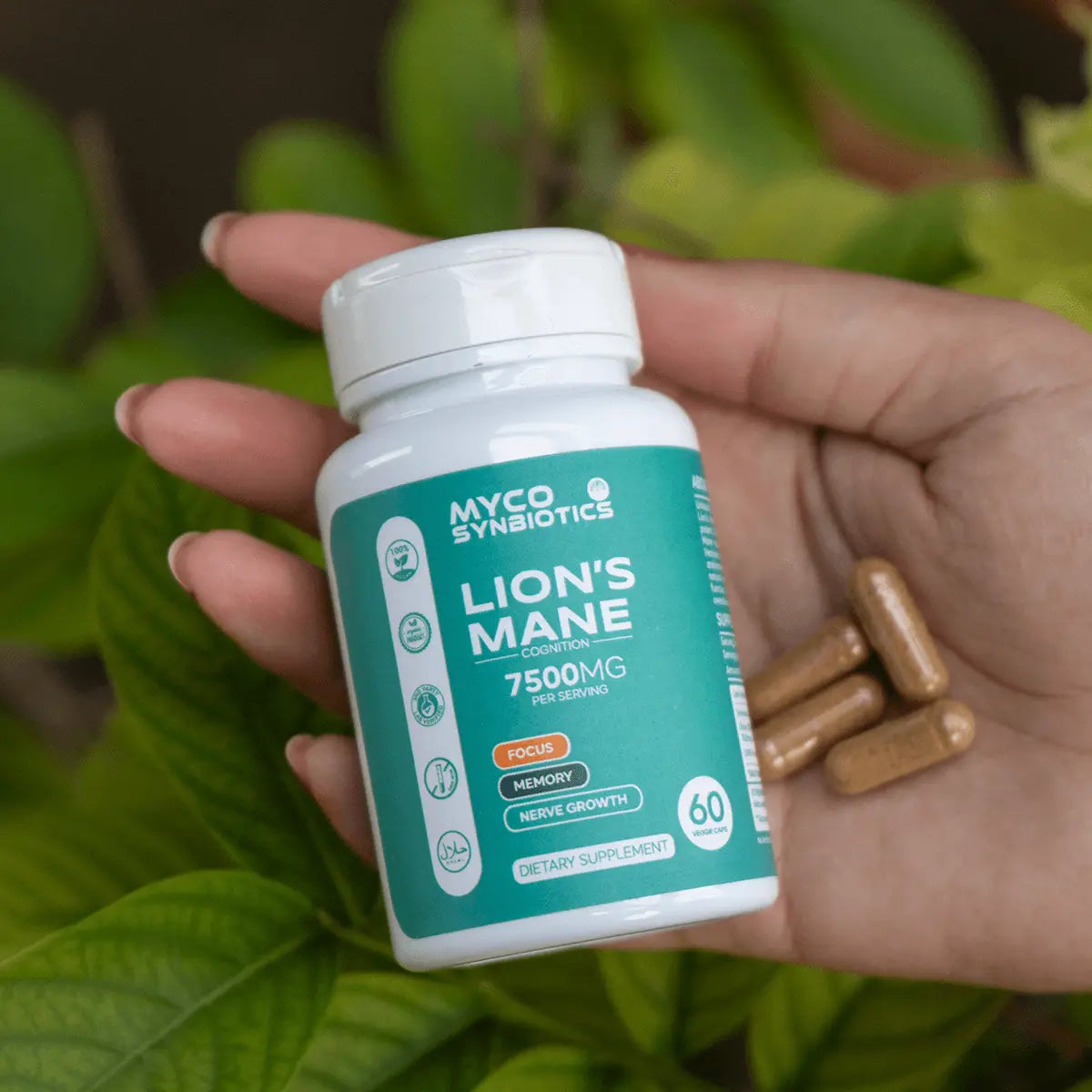 Lion's Mane Mushroom Capsules 3-Pack Bundle | Organic Brain Health Supplement