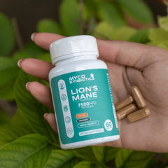 Lion's Mane Mushroom Capsules 3-Pack Bundle | Organic Brain Health Supplement