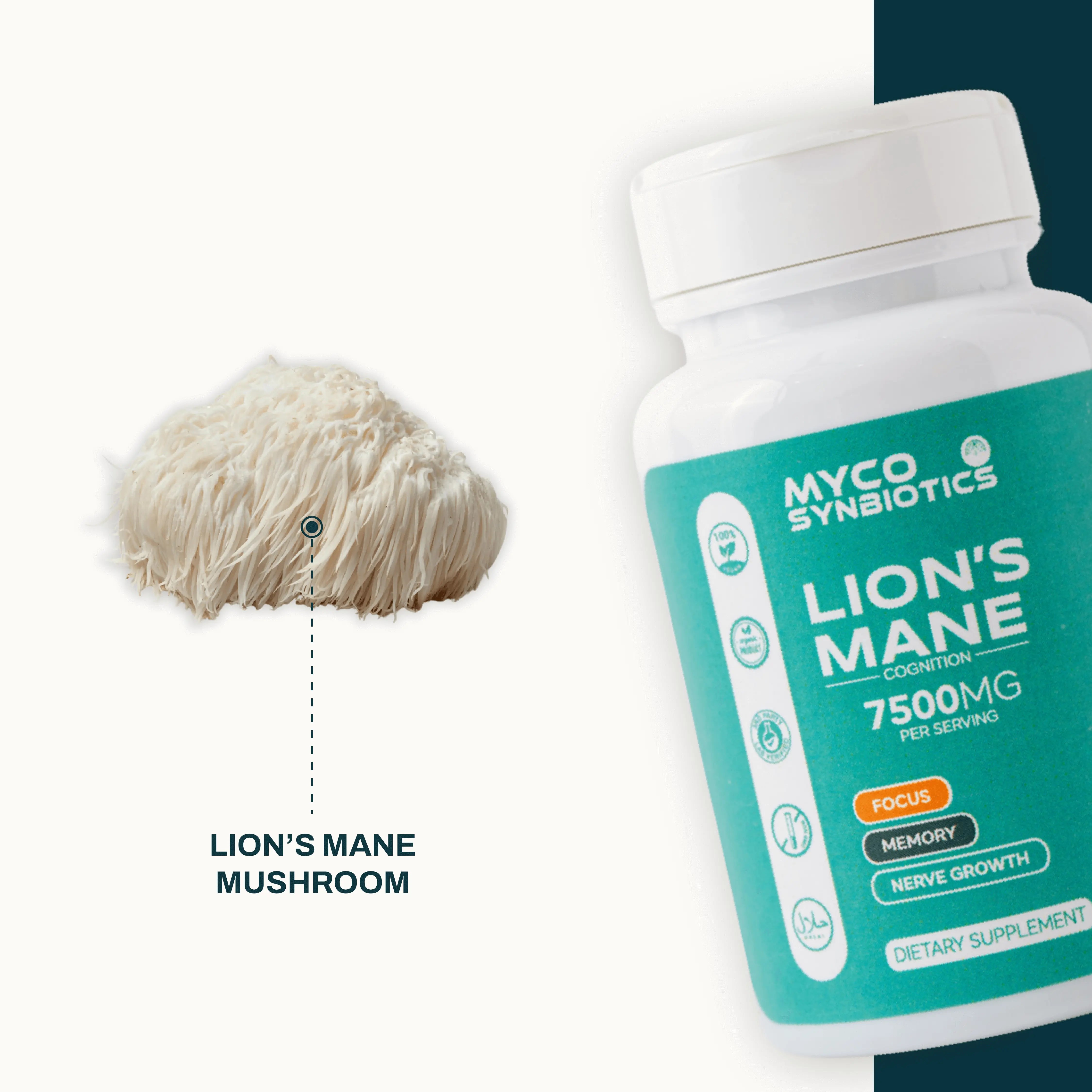 Lion's Mane Mushroom Capsules – Organic Brain-Health Supplement