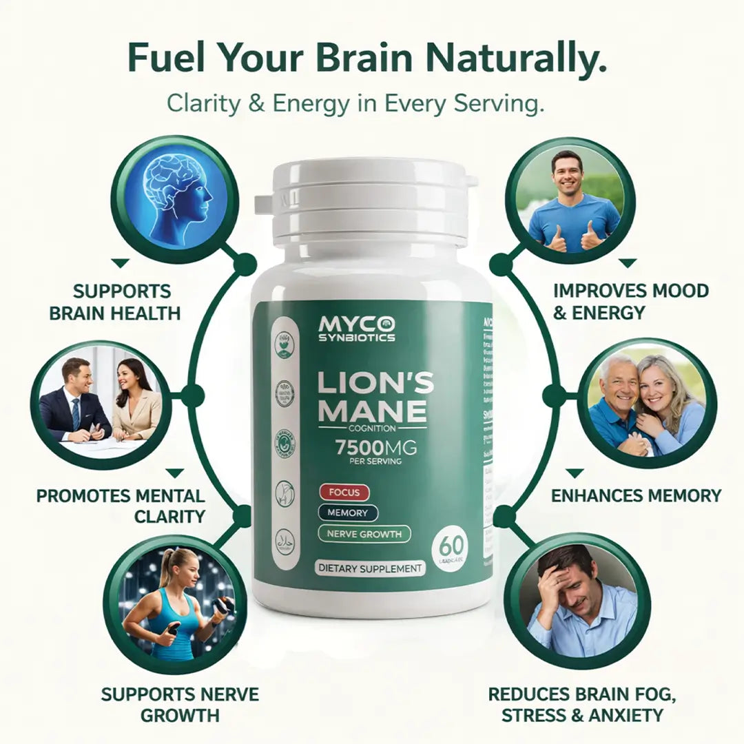 memory booster lion’s mane