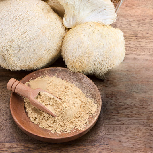 Lion’s Mane Mushroom Raw Powder (Hericium erinaceus) Bulk