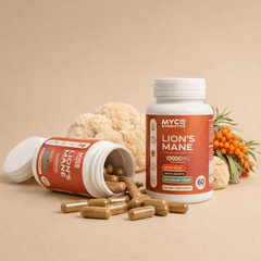 natural nootropic lion’s mane capsules