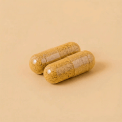 Lion’s Mane with Sea Buckthorn – Organic Brain-Health & Wellness Supplement
