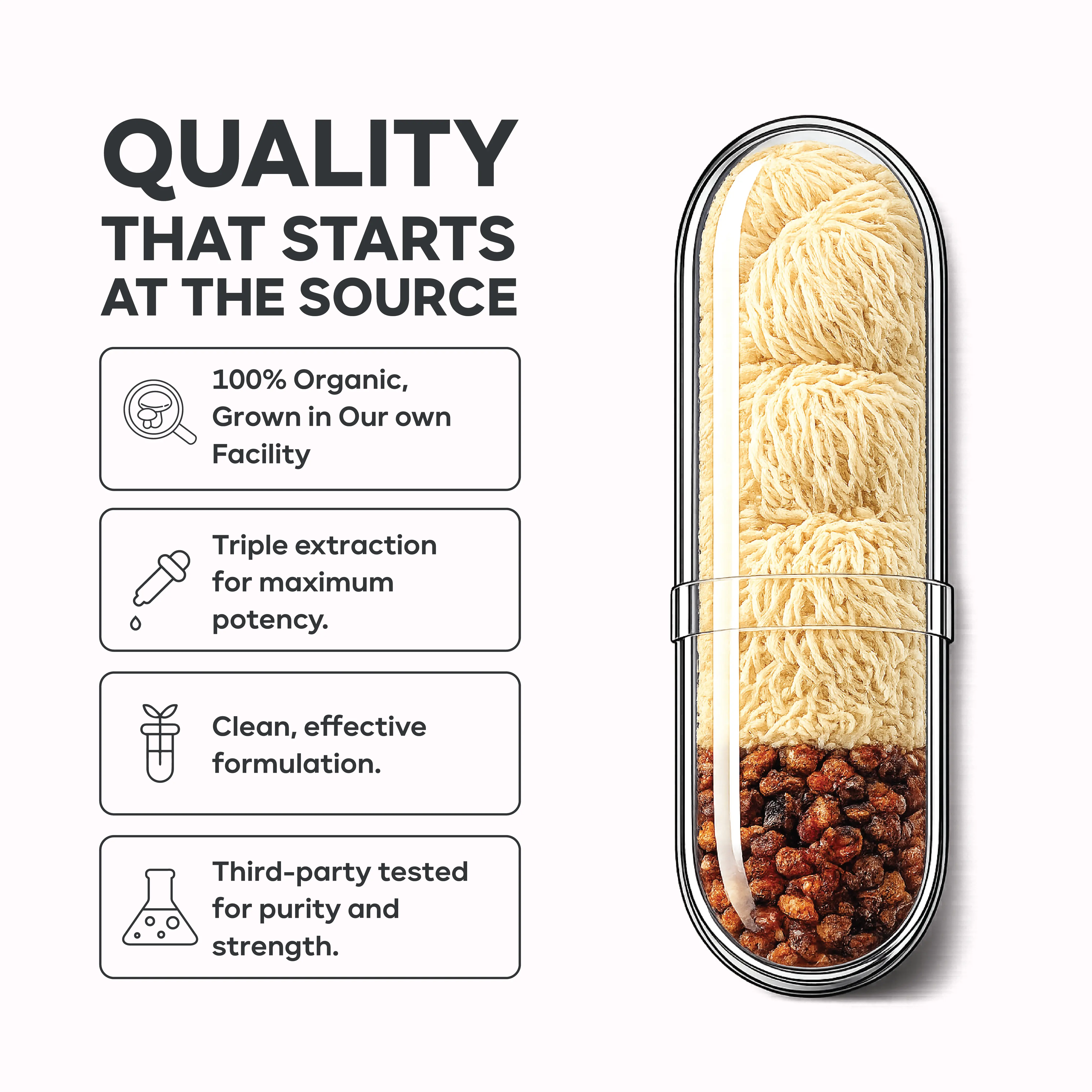 Organic Lion’s Mane with Sea Buckthorn Brain Health & Wellness Supplement