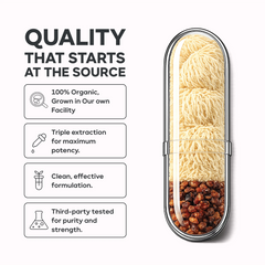 Organic Lion’s Mane with Sea Buckthorn Brain Health & Wellness Supplement