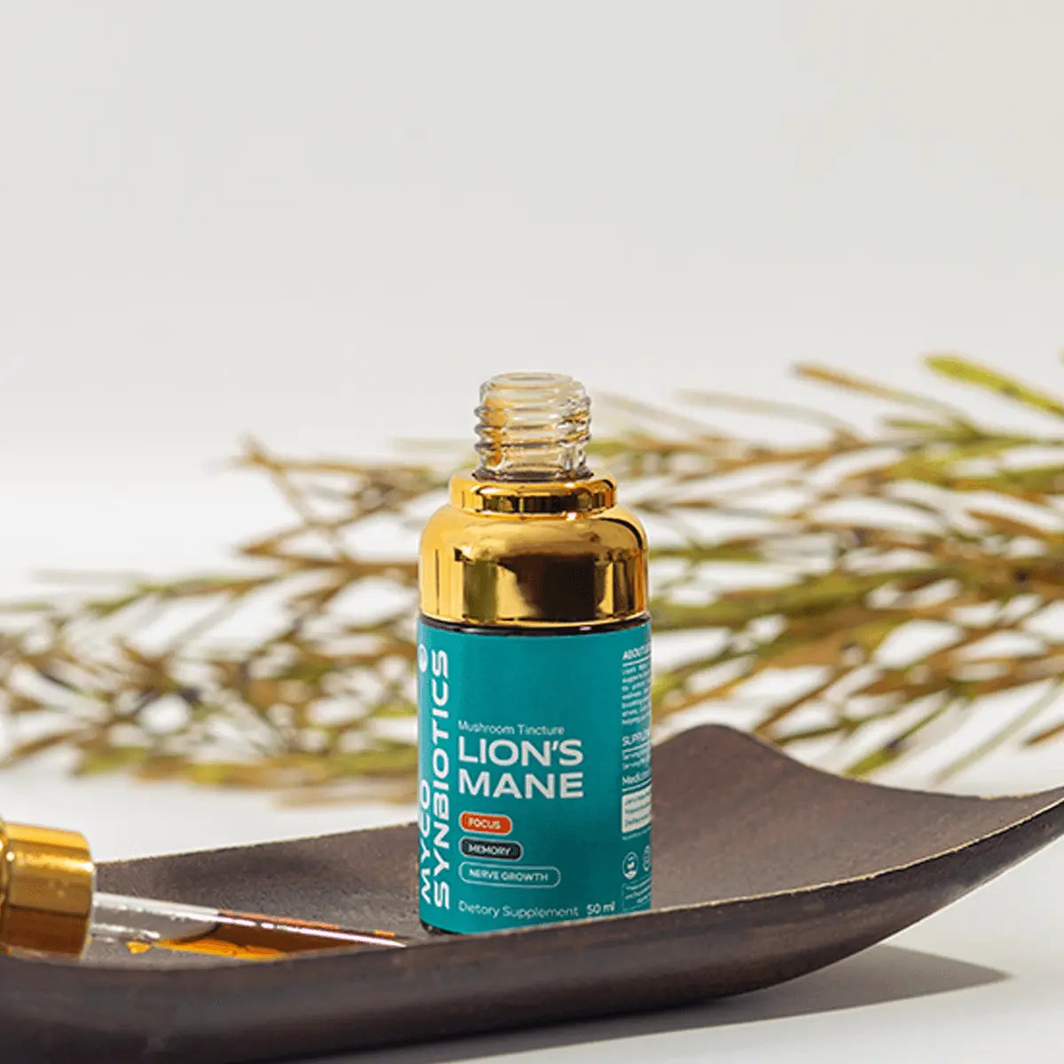 Lion's Mane Mushroom Extract – Organic & Dual Extract for Brain Health