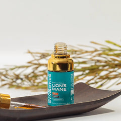 lion’s mane extract pakistan