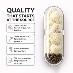 Benefits of Lion's Mane Capsules including memory support, focus, concentration and brain healt