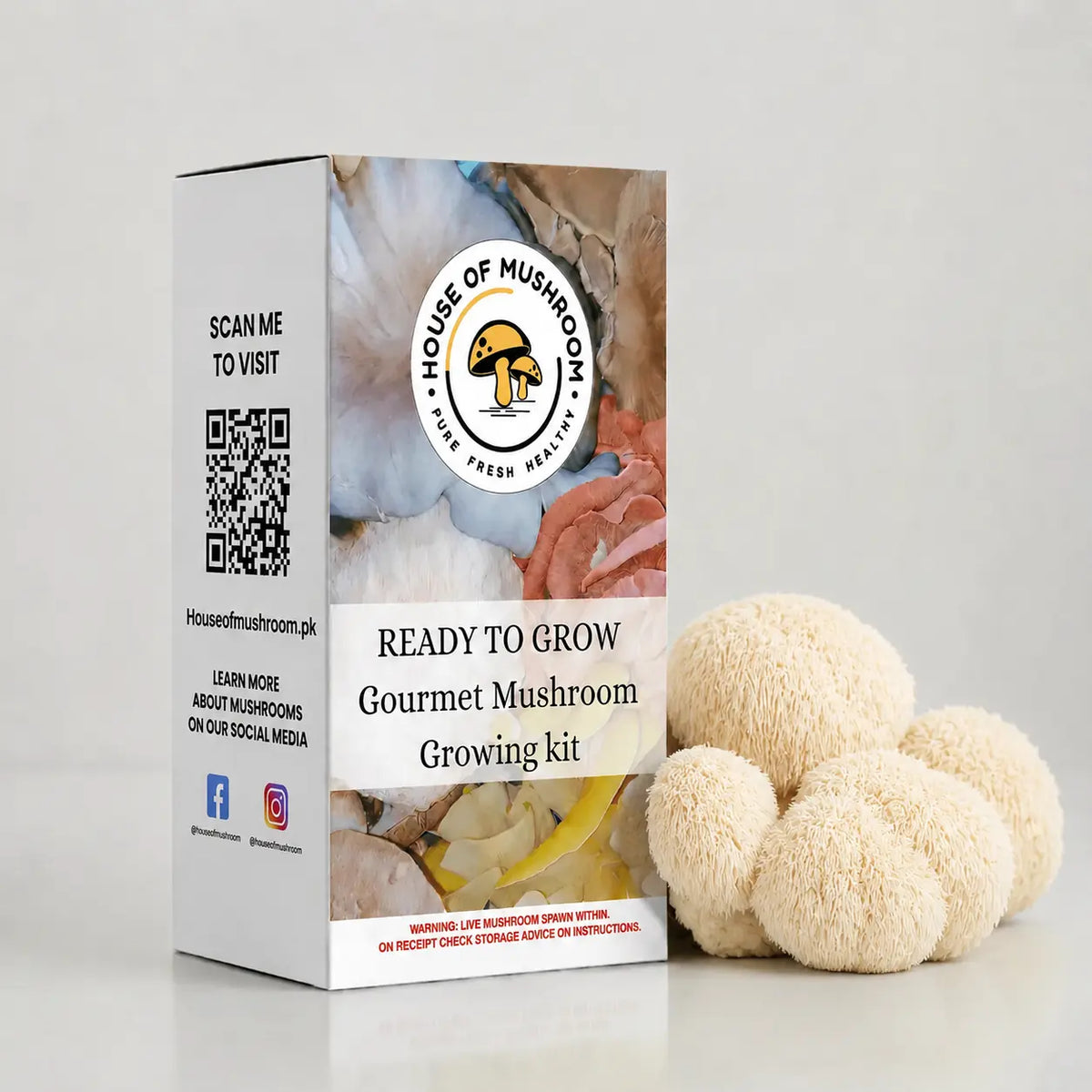 Ready-to-Fruit Mushroom Grow Bag Lion's Mane