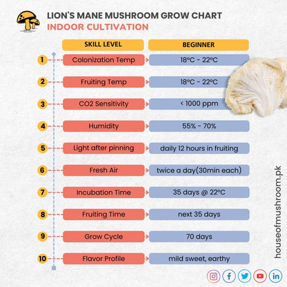 Lion's Mane Mushroom Grain Spawn 1.5kg (118)