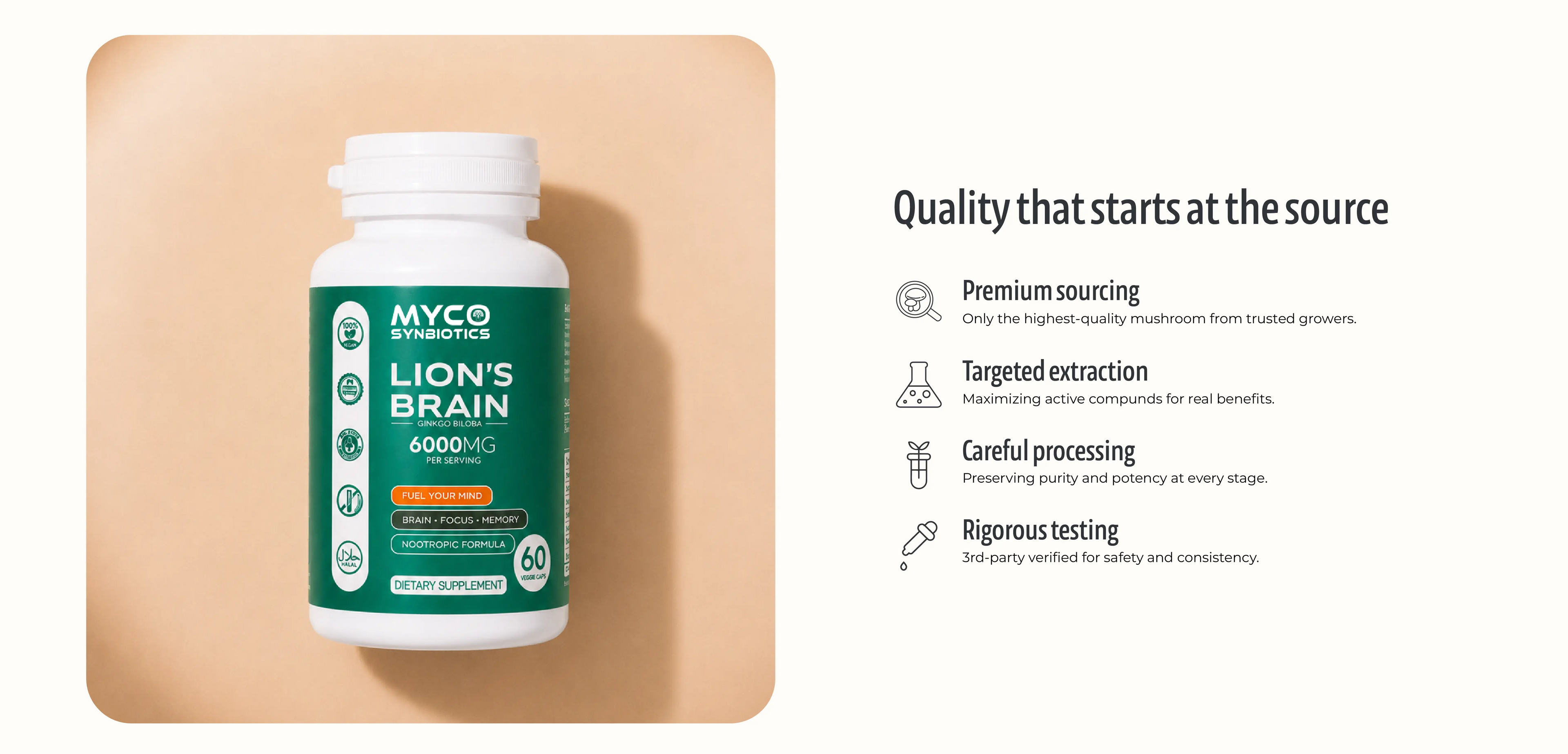 Lion's Mane Brain Support Capsules for Memory Focus and Cognitive Performance