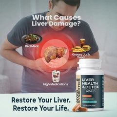 Liver Health & Detox Ayurvedic Wellness Formula Bhumi Amla, Chirata, Dandelion Root, Reishi Extract & Beet Root