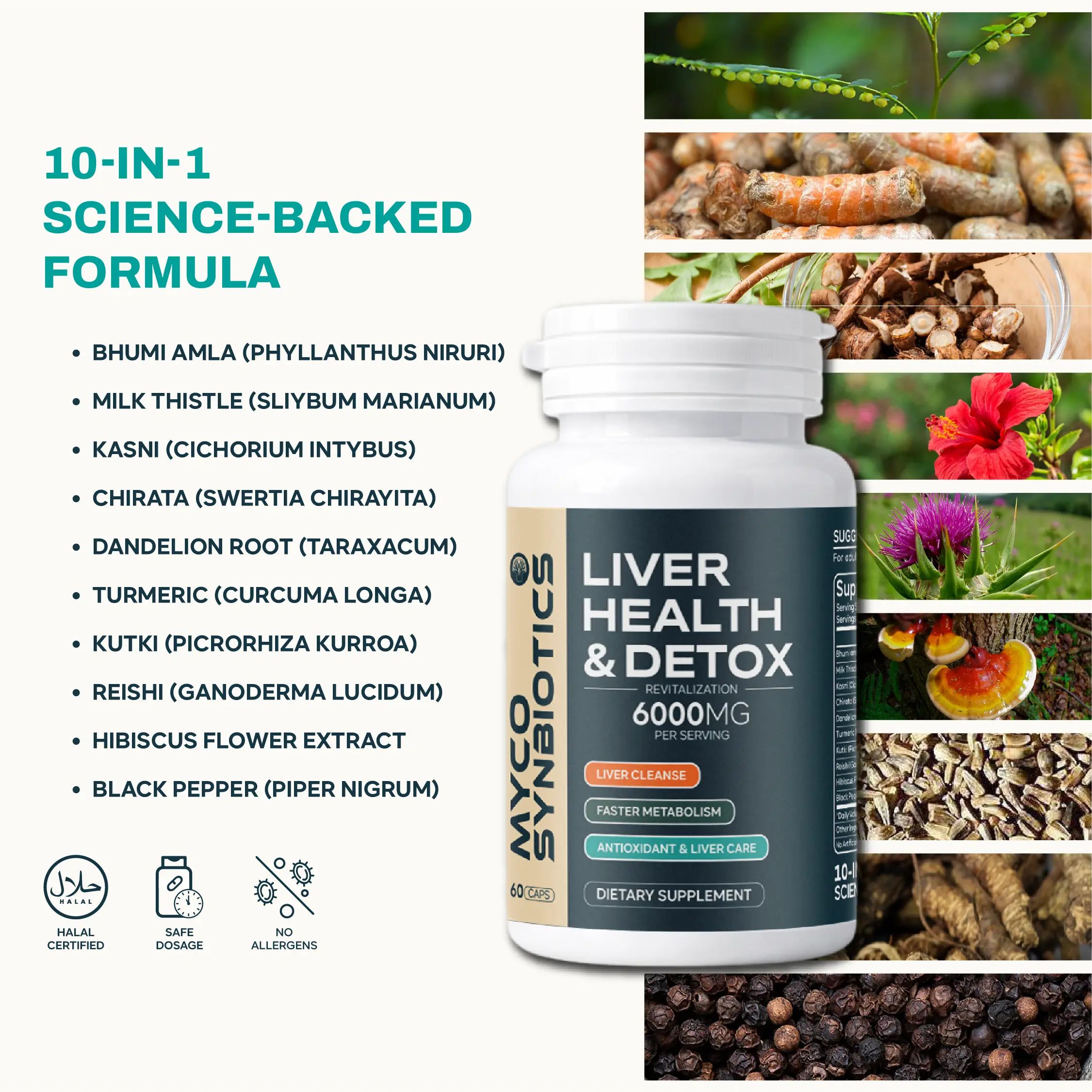 Liver Health & Detox 10-in-1 Ayurvedic Formula Fatty Liver Support