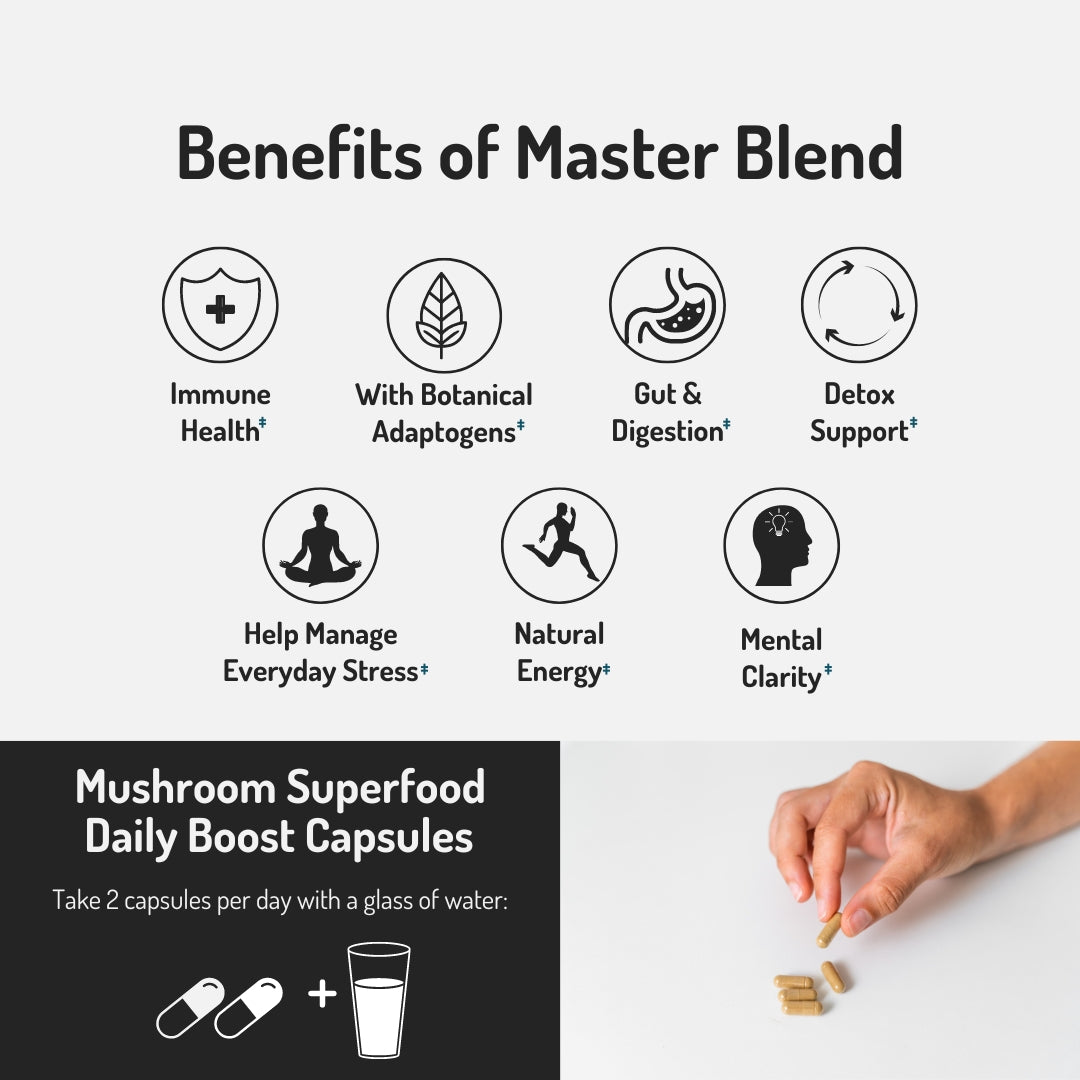 Master blend mushroom capsules - Benefits 2