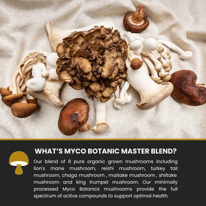 Master Blend mushroom capsules - What is it?