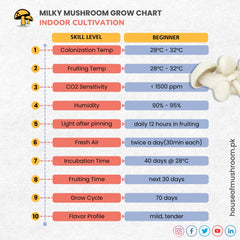 Milky Mushroom Grain Spawn 1.5kg (466)