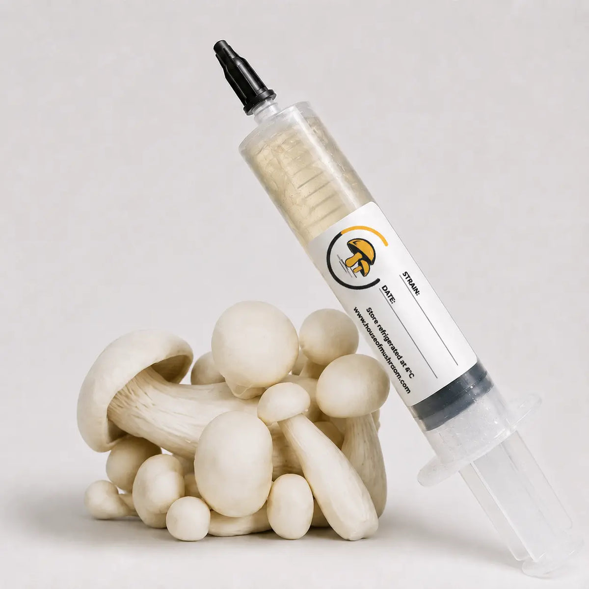 Milky Mushroom Liquid Culture – 10cc Syringe | Calocybe Indica Strain (467)