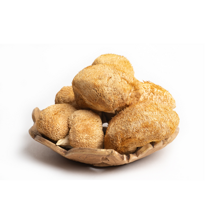 Lion’s Mane Mushroom Raw Powder (Hericium erinaceus) Bulk