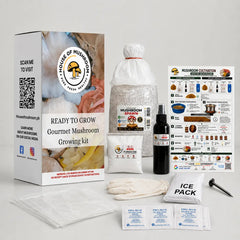 Mushroom Starter Kit