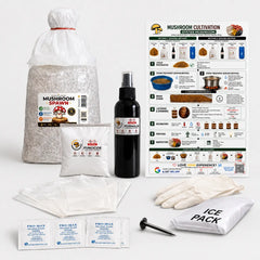 All-in-One Mushroom Starter Kit Complete Growing Kit