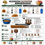 All-in-One Mushroom Starter Kit Complete Growing Kit