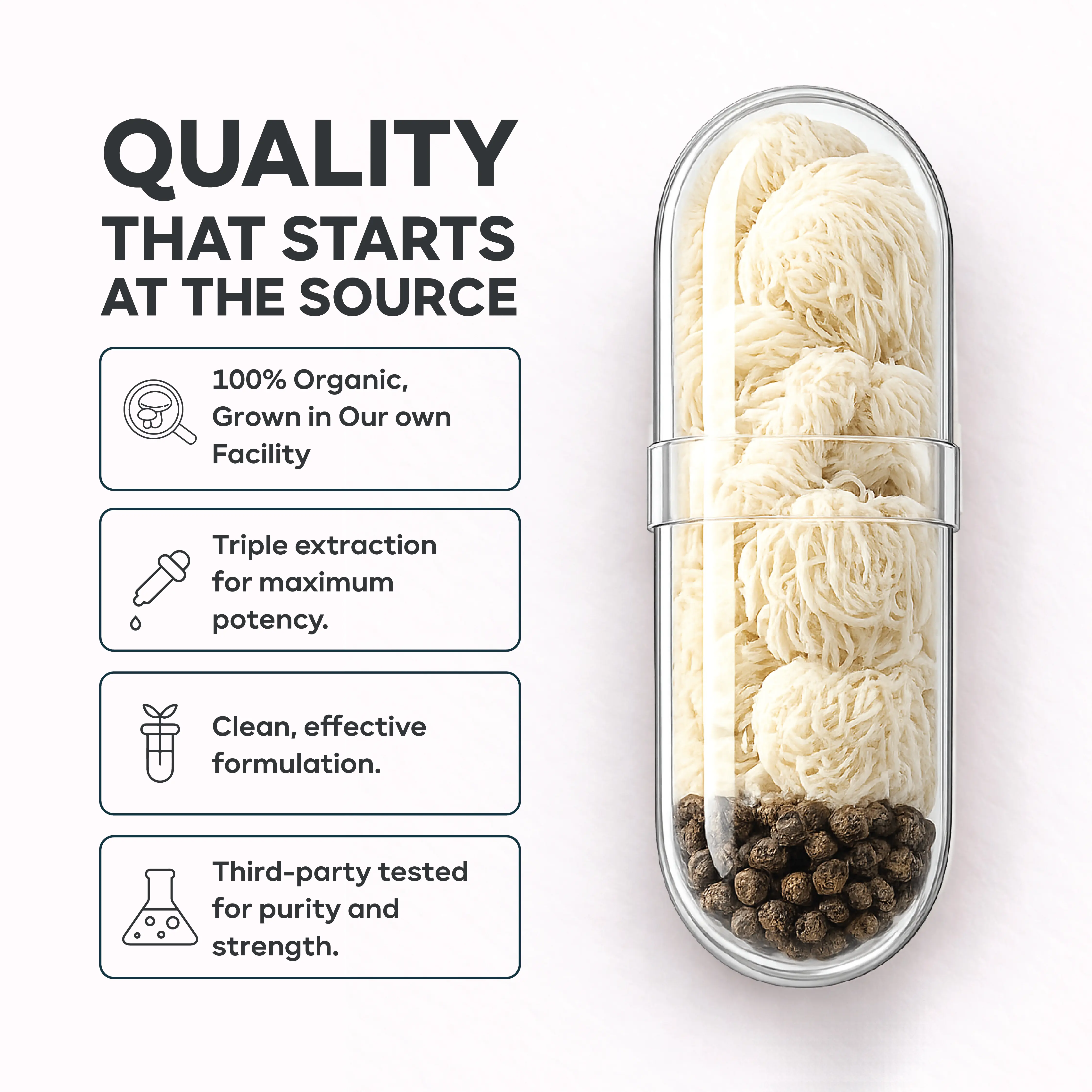 Lion's Mane Capsules in Pakistan by House of Mushroom