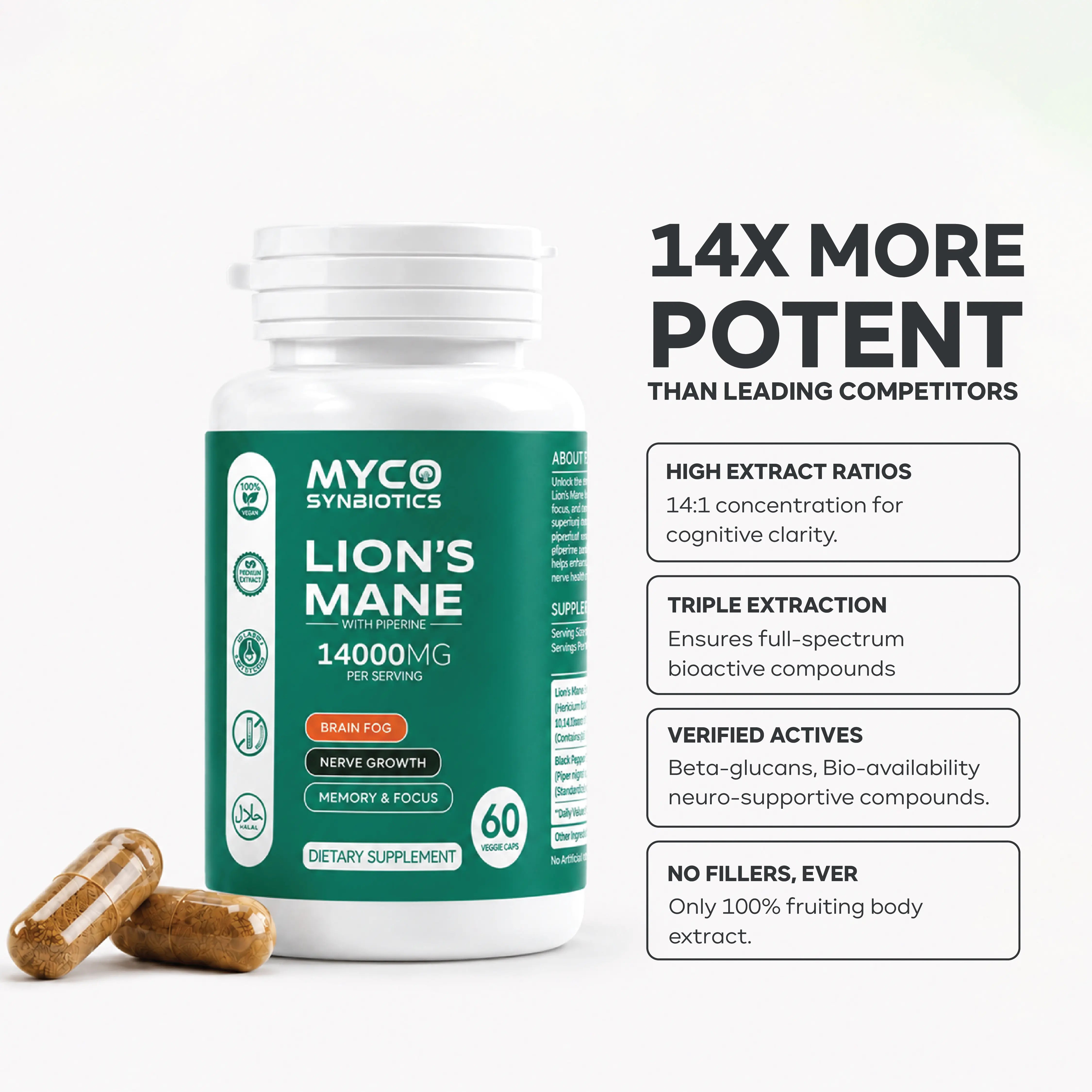 Organic Lion's Mane Fruiting Body Extract 14 to 1 for Brain Health