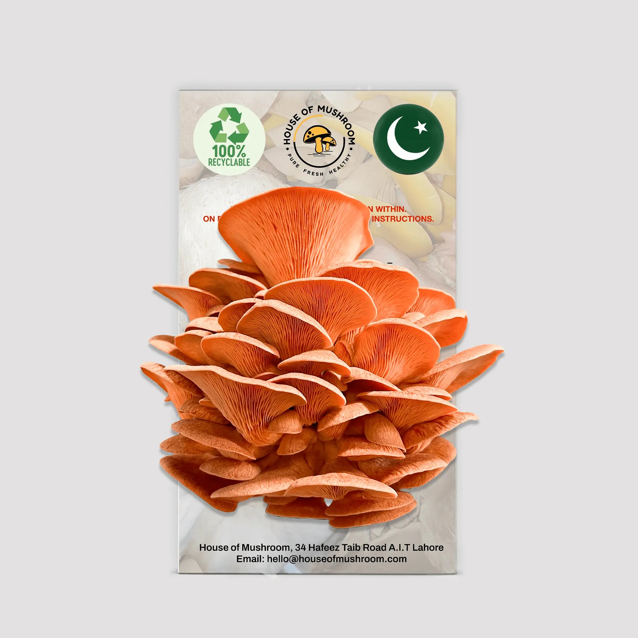 Pink Oyster Mushroom Grow Kit 1.5kg