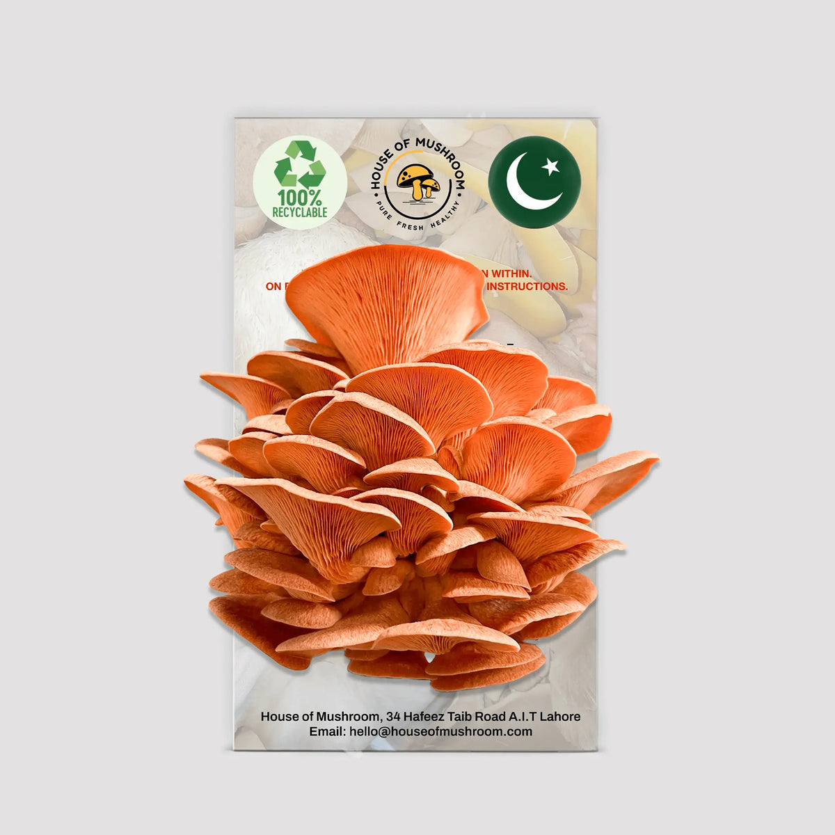 Pink Oyster Mushroom Grow Kit 1.5kg