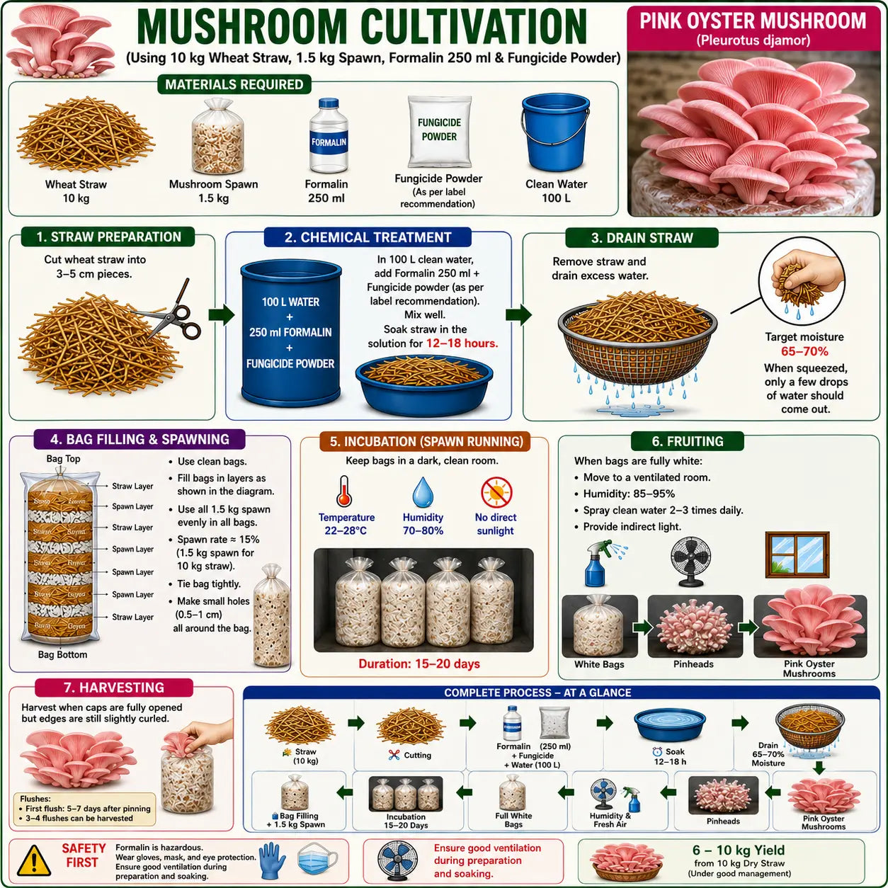 Pink Oyster Mushroom Grain Spawn 1.5kg (450)