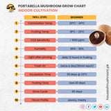 Gaint Portobella Mushroom Grain Spawn 1.5kg (511)