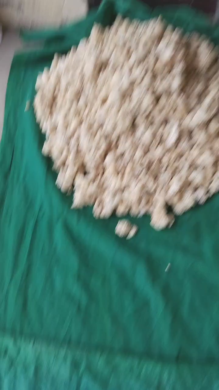 WhatsApp Video 2026-03-26 at 10.28.34 AM.mp4