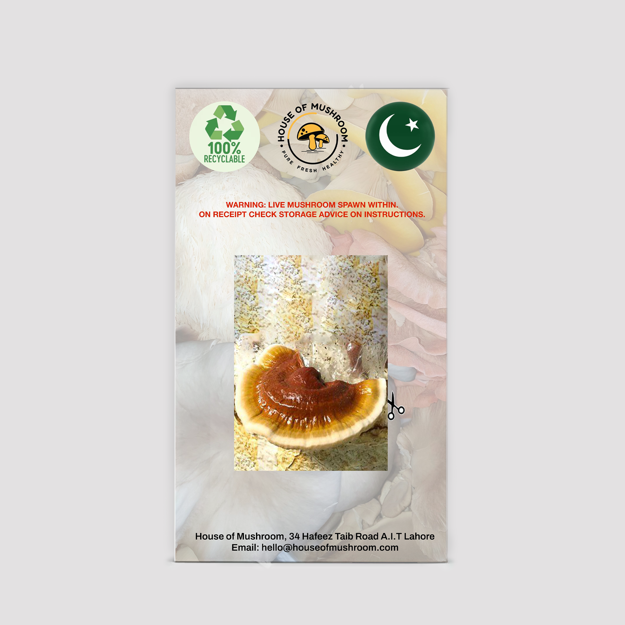 Red Reishi Mushroom Grow Kit 1.5kg