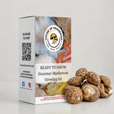 Ready-to-Fruit Mushroom Grow Bag Shiitake Edodes