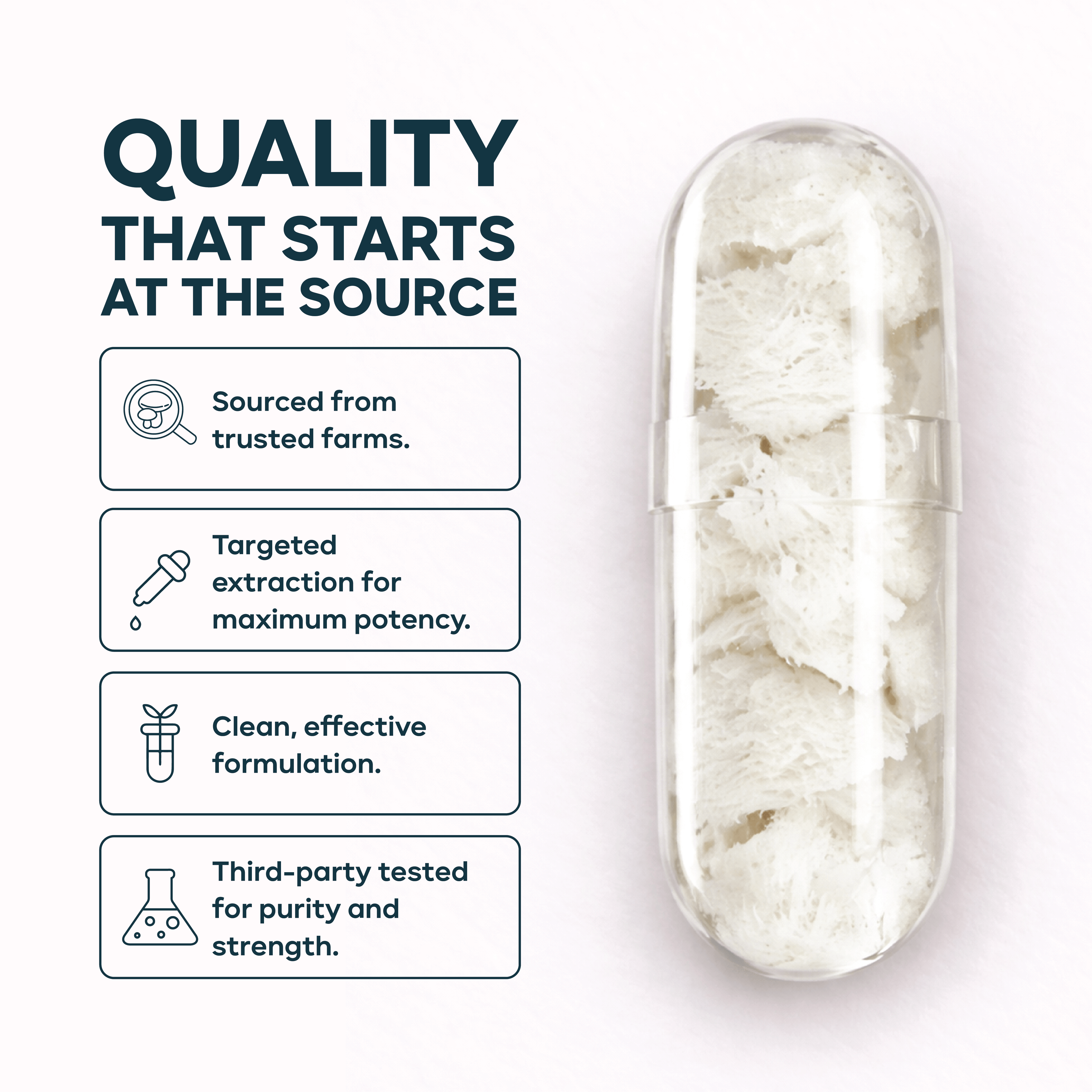 Lion’s Mane Capsules 1000mg for brain health in Pakistan