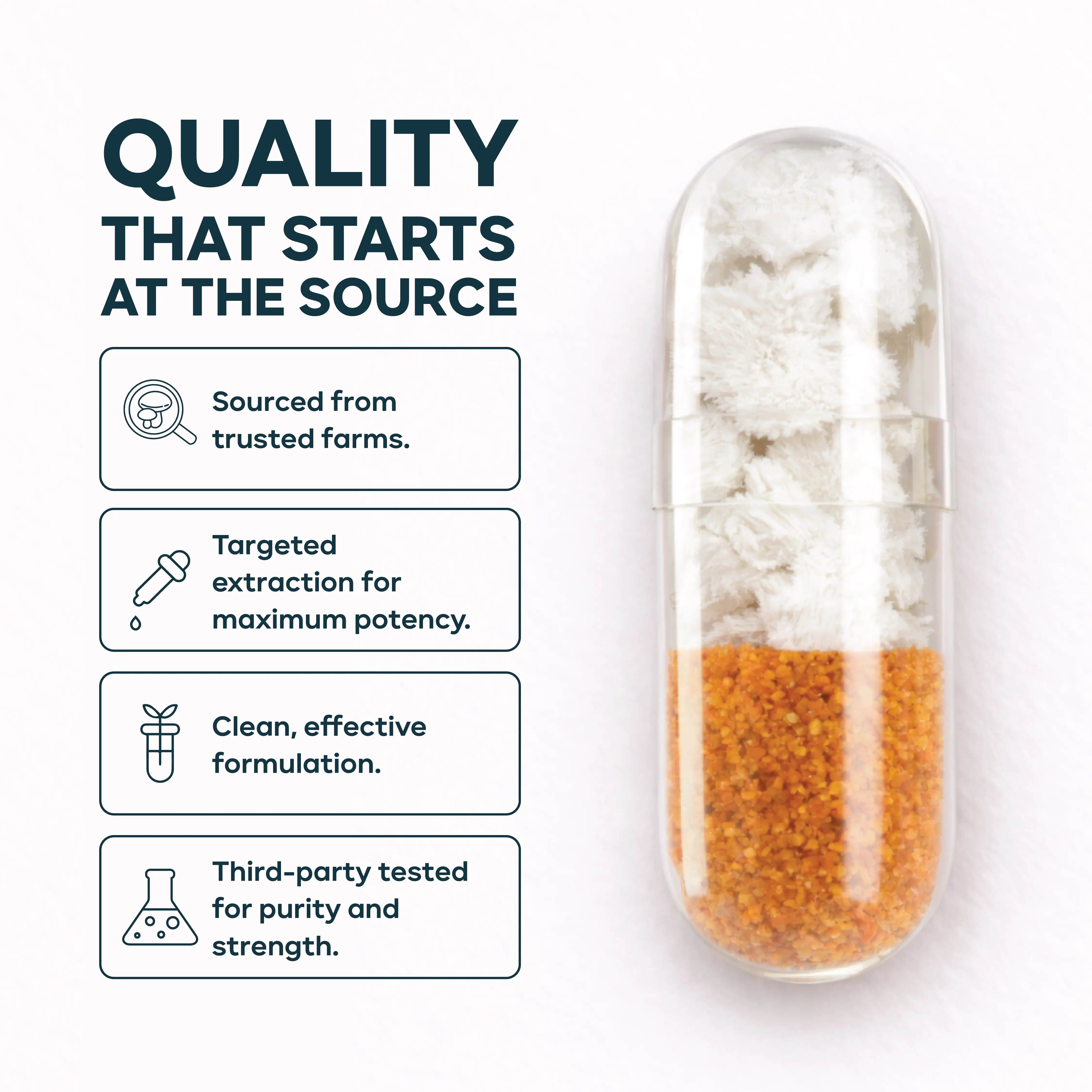 lion’s mane with sea buckthorn capsules pakistan
