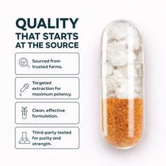 lion’s mane with sea buckthorn capsules pakistan